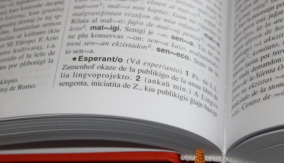 Close-up of an open book featuring text and definitions in Esperanto language.
